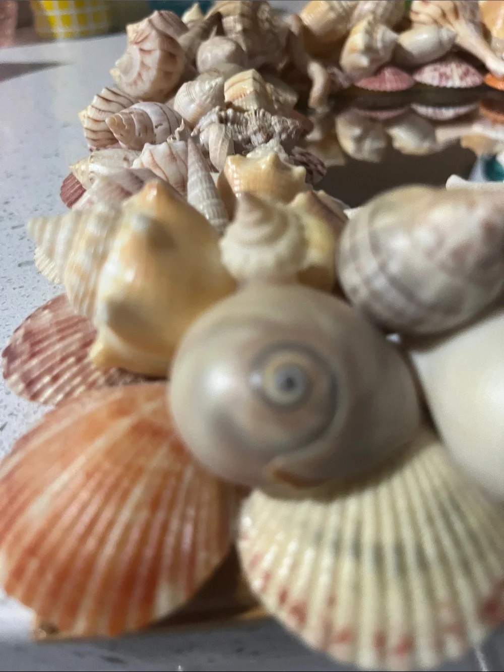 Handmade Coastal Seashell “Charli’ Starfish Wall Mirror - Natural Beige Shells